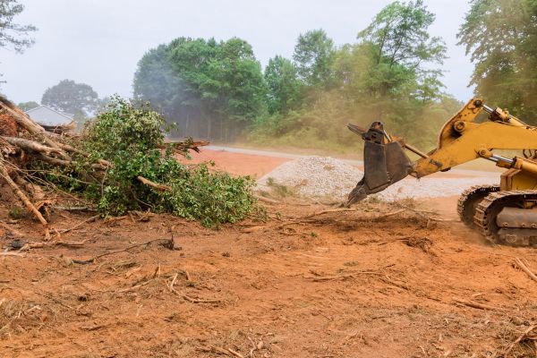 Ground Clearing in Fenton