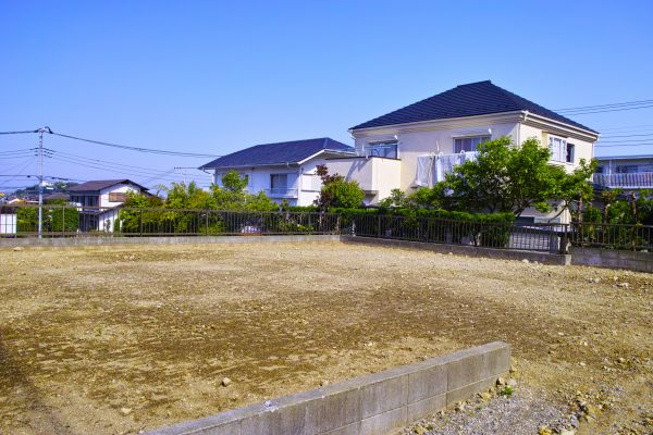 Cost of Lot Clearing Service in Fenton