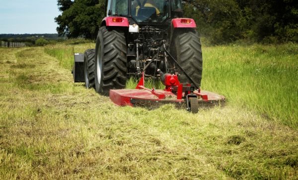 Brush Clearing Service in Fenton