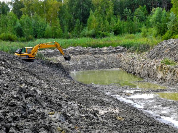 Cost of Lake Lot Clearing in Fenton
