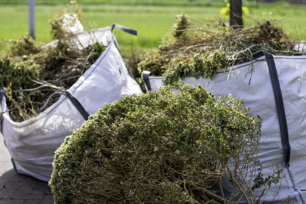 Cost of Bushes Clearing in Fenton