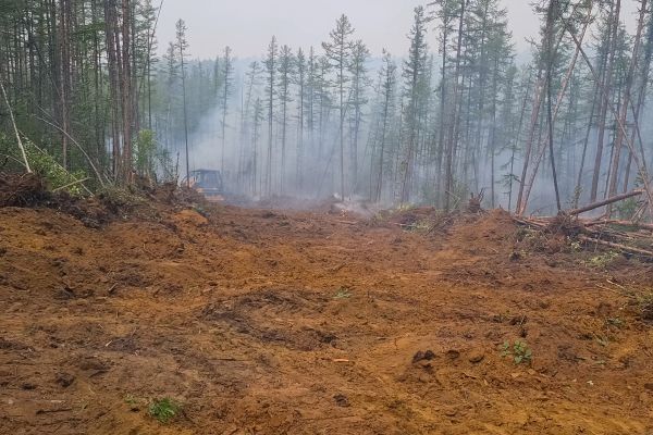 Cost of Hill Clearing in Fenton