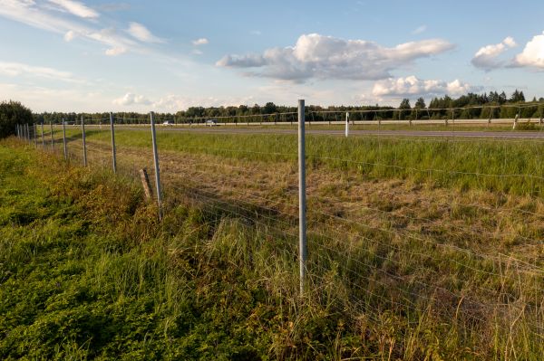 Cost of Property Line Clearing in Fenton