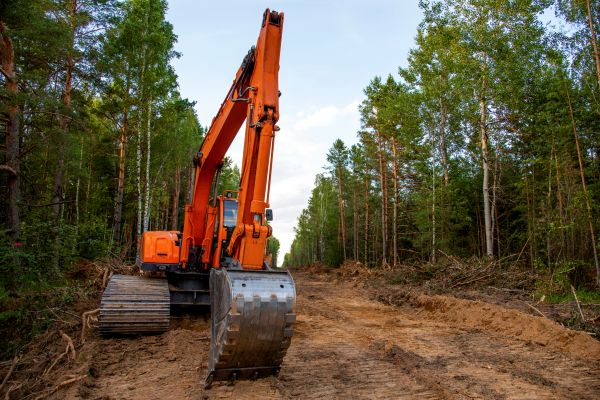 Cost of Backhoe Land Clearing in Fenton