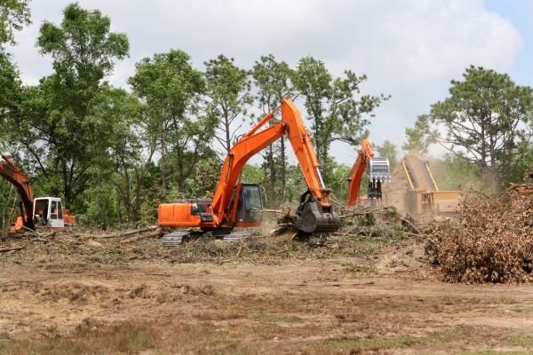 Cost of Commercial Lot Clearing in Fenton