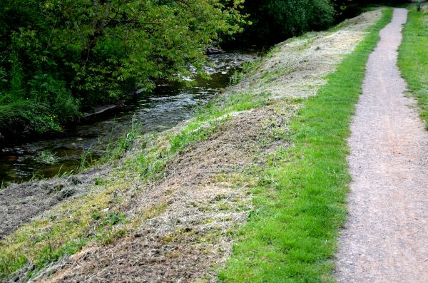 Cost of Trail Cutting in Fenton